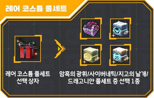 레어 코스튬 풀세트