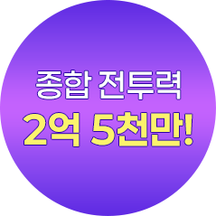 종합 전투력