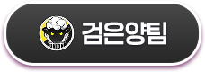 검은양팀