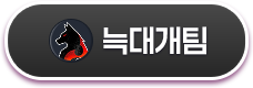 늑대개팀